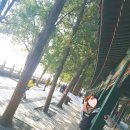 북경동인당한의원 | 중국 북경여행 패키지 : 이화원, 798 문화의 거리