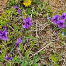 해찬솔농장 이미지