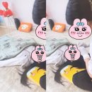 갓생지망생
