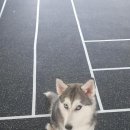 견학생스쿨 이미지