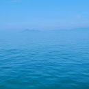 흑산도홍어회 이미지