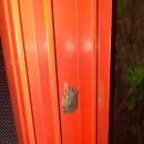 맘스터치안면터미널점 이미지