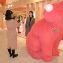 라운지포토 이미지