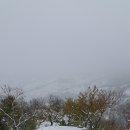 칠갑산하 이미지