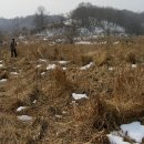 운성부원군묘 이미지