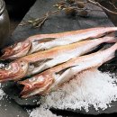 주식회사 다로 이미지