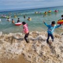 팰릭스바이에스티엑스 이미지