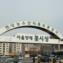 강남대로8길 39-60 | [서울/양재] 청계손국시, 양재꽃시장 근처 칼국수 맛집 추천🌷 | feat. 조효상점 후르츠산도 🍇