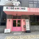 고양애견카페 중소형견이 많은 로제몽 방문 후기