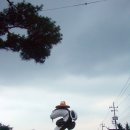 추어조형물 이미지