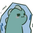 조이블룸 이미지