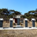 독성서사 이미지