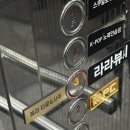 장터과일야채도소매
