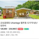 외포리커피 | 강화도 감성숙소 어반티지글램핑 카라반 내돈내산 솔직후기 (명당자리, 장단점)