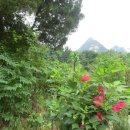 의상봉 둘레길 이미지