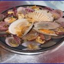 지금조개 이미지