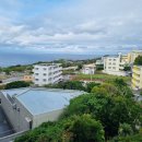 행정사사무소 해소 이미지