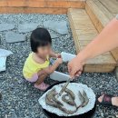 서하네 민박 이미지