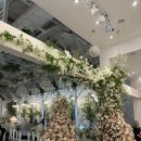 꼰 스튜디오 | #15. 송도 메리빌리아 홀패키지 촬영 드레스 셀렉 후기(플로라, 줄리의 정원 인천점, 추가비용, feat...