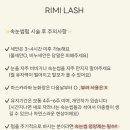 리미속눈썹