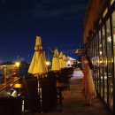 돼지블라썸 이미지