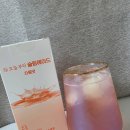 자몽 | 다이어트 활력 비타민 오늘부터 슬림에이드 자몽맛 솔직 후기