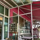 산책하는 고양이 이미지