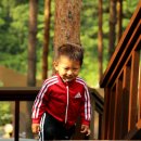 물내치기 이미지