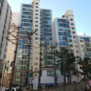 진건성심약국 이미지