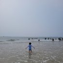 수미장 - 포항시 남구 효자동길7번길 11 | 수미장