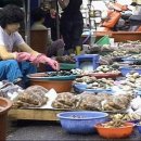 마산어시장 이미지