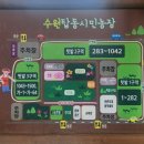[수원 가볼만한 곳] 수원탑동시민농장, 양귀비·수레국화·메밀꽃·코스모스 꽃밭 힐링피크닉 명소