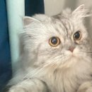 아이봄동물병원 이미지