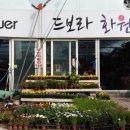 드보라화원 이미지