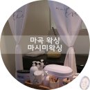 마시미왁싱 이미지