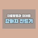 아나봄 펫살롱 | 강아지 진드기 물렸을 때 치료 방법과 대처법 그리고 초기 대응법