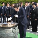 신평화 이미지