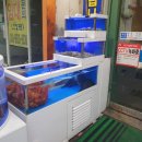 오징어본가 이미지