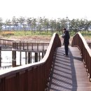 경인아라뱃길아라인천여객터미널 이미지