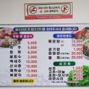 양양 물치항 회 센터 맛집 [경숙이네] 몇 년째 방문 중!