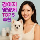 화인정보기술(주) | 강아지 영양제 TOP 5 추천: 우리집 댕댕이 컨디션 살리는 선택법