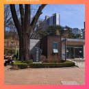 이촌근린공원 | 이촌근린공원 산책로 개나리 꽃 보러 갔다온 후기