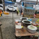 짱구김밥,토스트 | 2026년 2월 23일 ~ 3월 1일〔2026년 2월4주 주간포토일기〕- 내차를 부탁해 김해공항점 / 노포동...