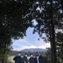 르토아베이스먼트 이미지