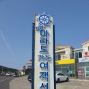 아이랑 강아지랑 제주도한달살기 13일차 마라도 짜장면 돌고래떼 이비인후과 마트