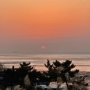 온누리정원약국 이미지