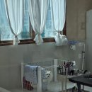 스누피 펫살롱 | [천안아산애견미용] 강아지가 좋아하는 애견미용실 모모펫살롱 아산모종/탕정점