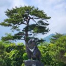 비룡화장실(비룡폭포가동 화장실) | [ 강원특별자치도 가볼만한곳 ] 속초 설악산 육담폭포 비룡폭포 코스정리