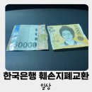 한국은행대구경북본부 | 대구경북본부 한국은행 훼손지페교환 - 화폐박물관