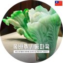 11680-111-106외 | [대만](2)대만고궁박물원 관람후기(+대표유물 옥배추/동파육 전시위치 관람여부 포토존)